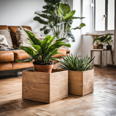 It's Planty | Duo Voordeelbox