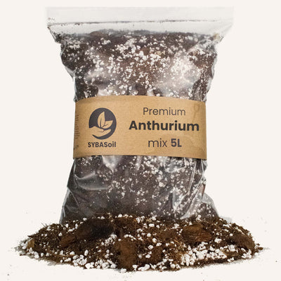Anthurium mix 5L_0