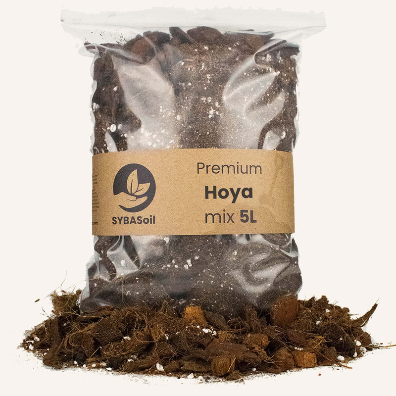 Hoya mix 5L_0