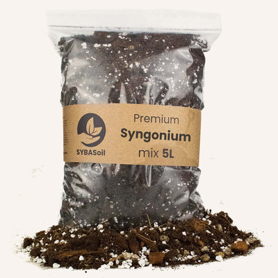 Syngonium mix 5L_0