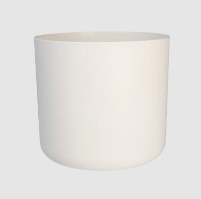 B.for soft round white_0